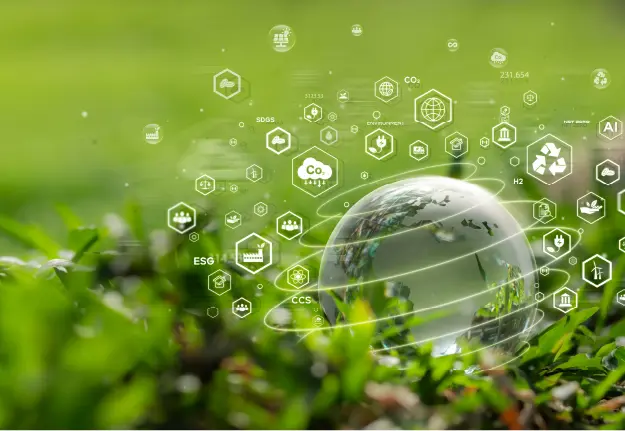 Vietnam’s Leading Company in Carbon Credits
